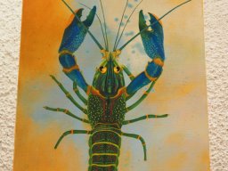 SHAPES OF WATER am 14. Mai 2024